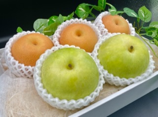 旬の梨の食べ比べ♡ 20世紀梨 & 豊水梨サムネイル