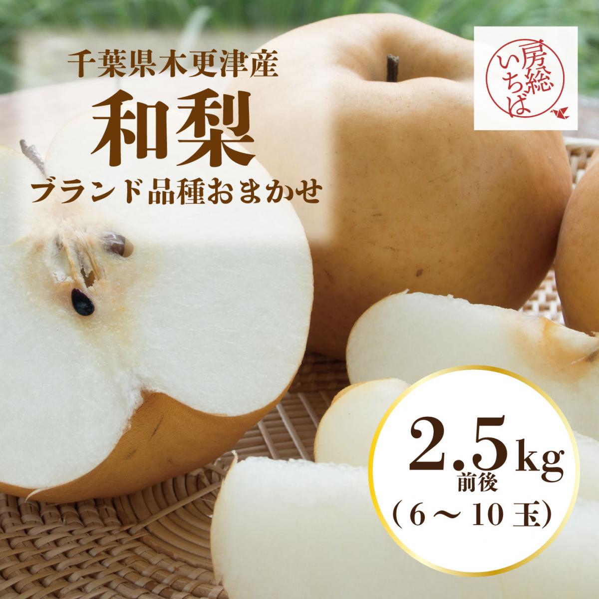 【房総から梨が届きました!その時の食べるべき品種でお送りいたします!】道の駅　直売所　産直商品