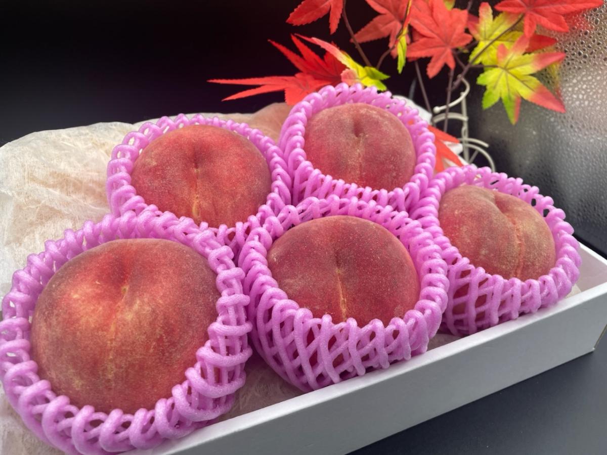 福島応援プロジェクト❤︎最終品種のさくら白桃 5玉入りサムネイル