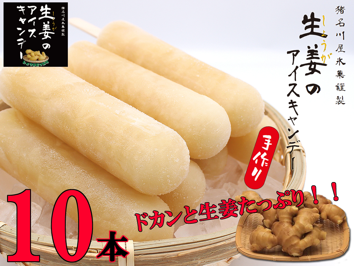 送料無料【生姜のアイスキャンデー10本】手作り製法 ドカンと生姜たっぷり!!生姜・ひやしあめ好きに!