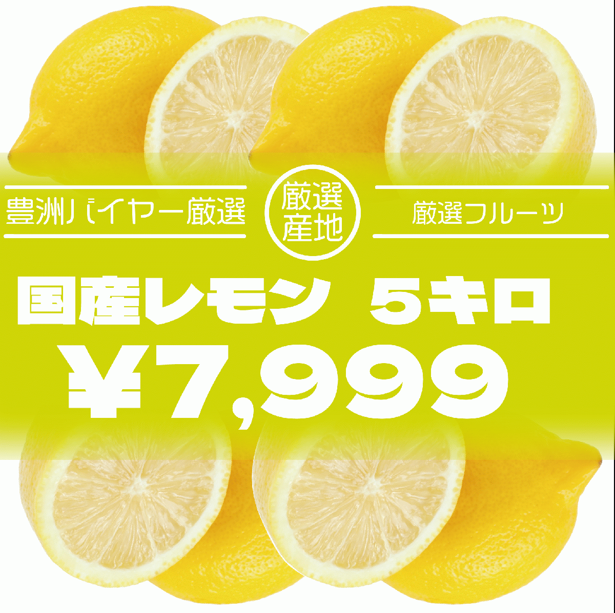 【箱いっぱいシリーズ!箱いっぱい国産レモン!5㎏】　レモンサワーや揚げ物の添え物に! 豊洲市場サムネイル