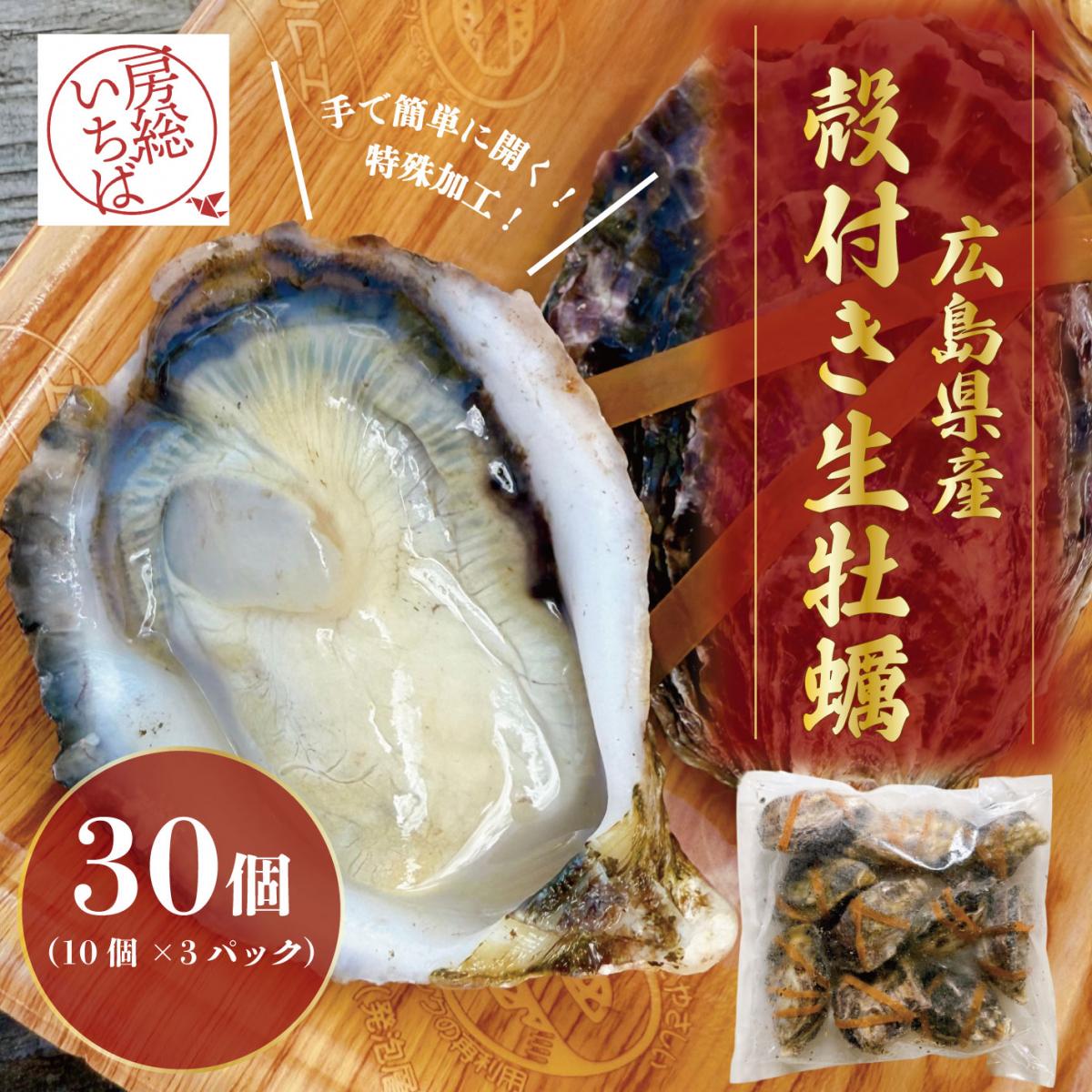 【生牡蠣の革命児!道具不要!自宅で贅沢オイスターバー!30個!】広島県産　殻付き生牡蠣サムネイル