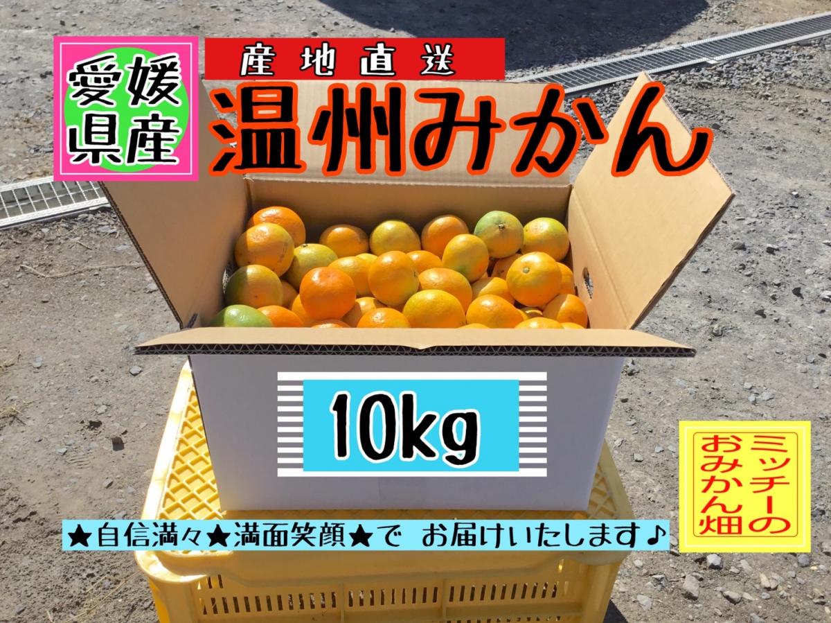 【四国 九州 本州のお客様用】フルーツ果物くだもの果実みかん柑橘《温州みかん/えひめ産》
