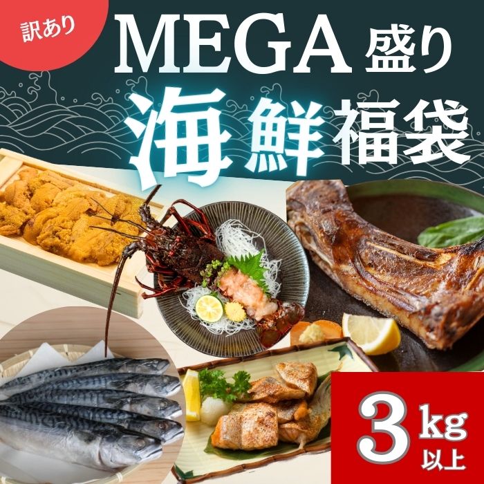 【10/31迄】海鮮MEGA盛り福袋(1万円相当)3kg以上5品以上サムネイル