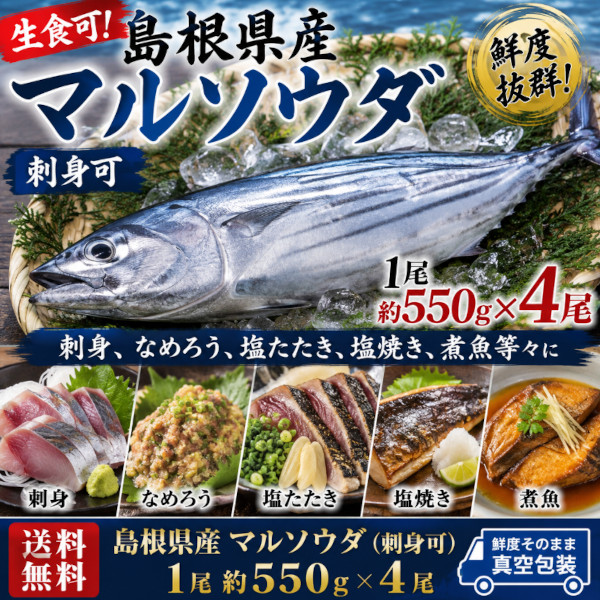 【10月特価】島根県産 マルソウダ(刺身可)約550g×4尾サムネイル
