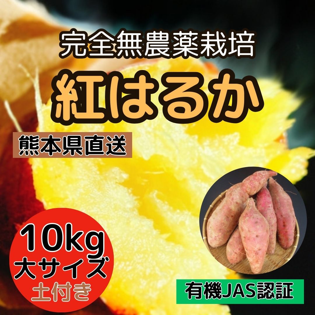 完全無農薬栽培【紅はるか】10kg 大サイズ 熊本直送(有機JAS認証 / 土付き)