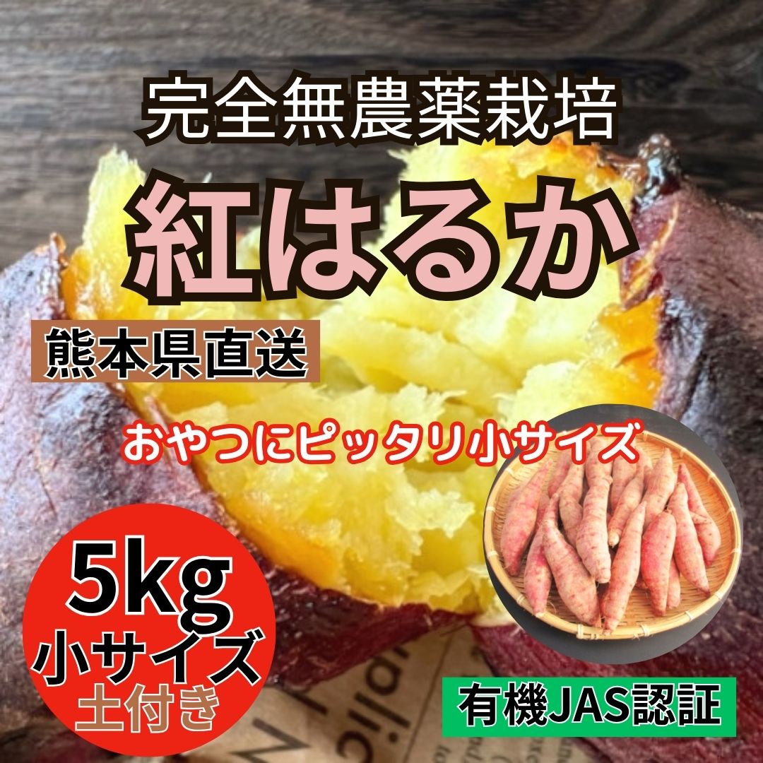 【紅はるか】ミニサイズ 5kg  完全無農薬栽培　熊本直送(有機JAS認証 / 土付き)