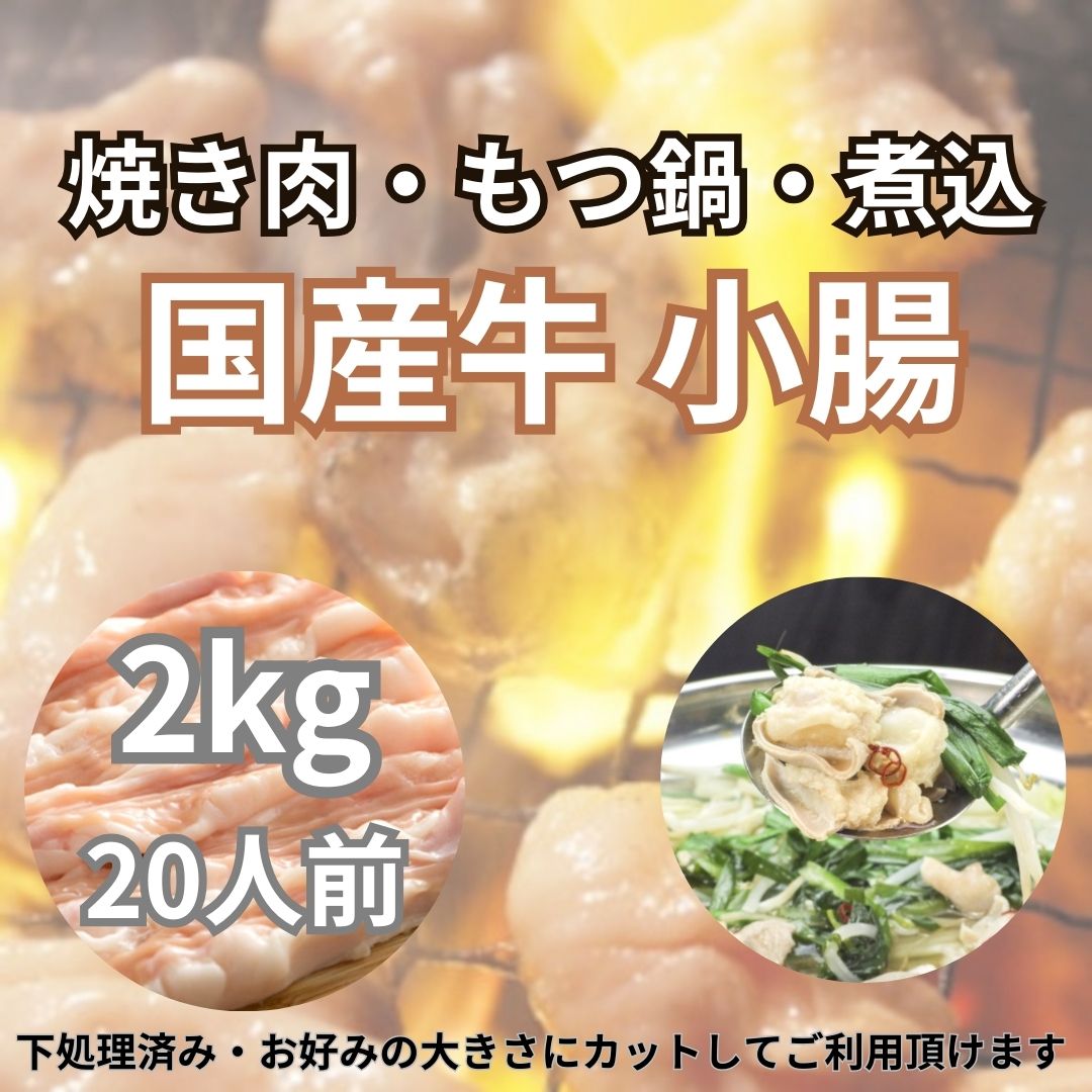 【10月特価】もつ鍋/焼き肉用【国産牛 小腸】2kg(下処理済み・冷凍)