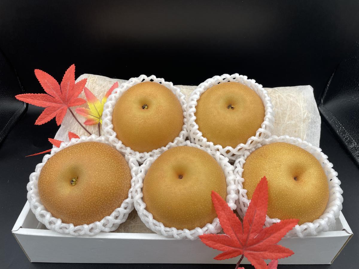 良いとこ取りの梨❥❥あきづき 5玉*栃木(芳賀)サムネイル