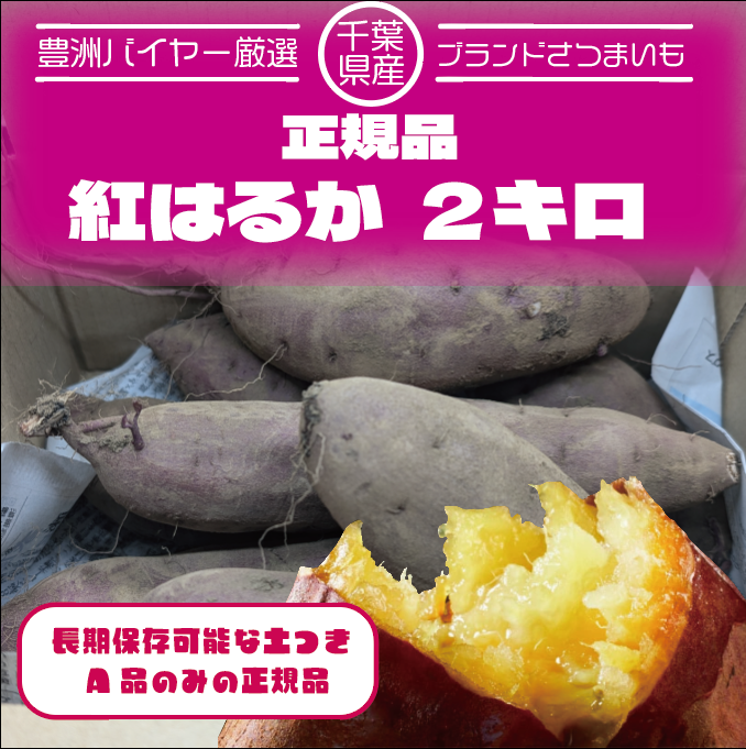 【紅はるか　2キロ　詰め合わせ　さつまいも　甘くておいしいさつまいも】房総エリア産　産直　産地直送　サムネイル