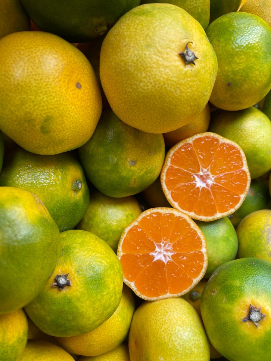 ●【愛媛えひめ産】●フルーツ果物くだもの果実みかん柑橘《せとか》