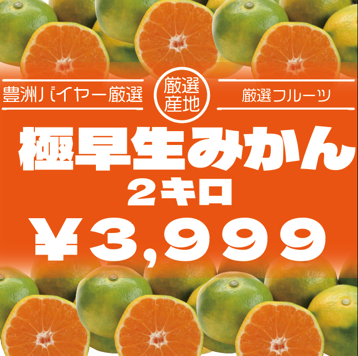 【旬の走り!大人気極甘みかん!2キロ!極早生みかん】豊洲市場　みかん　旬サムネイル