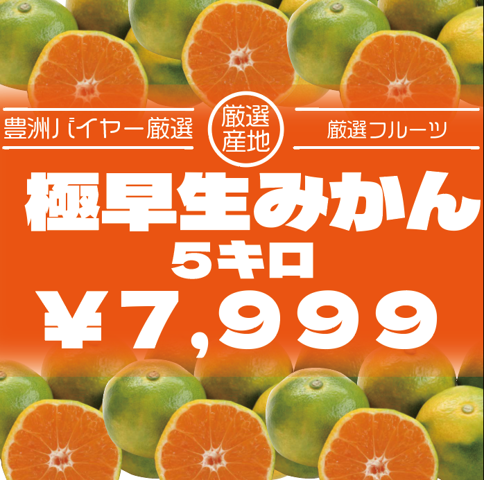 【旬の走り!大人気極甘みかん!5キロ!極早生みかん】豊洲市場　みかん　旬