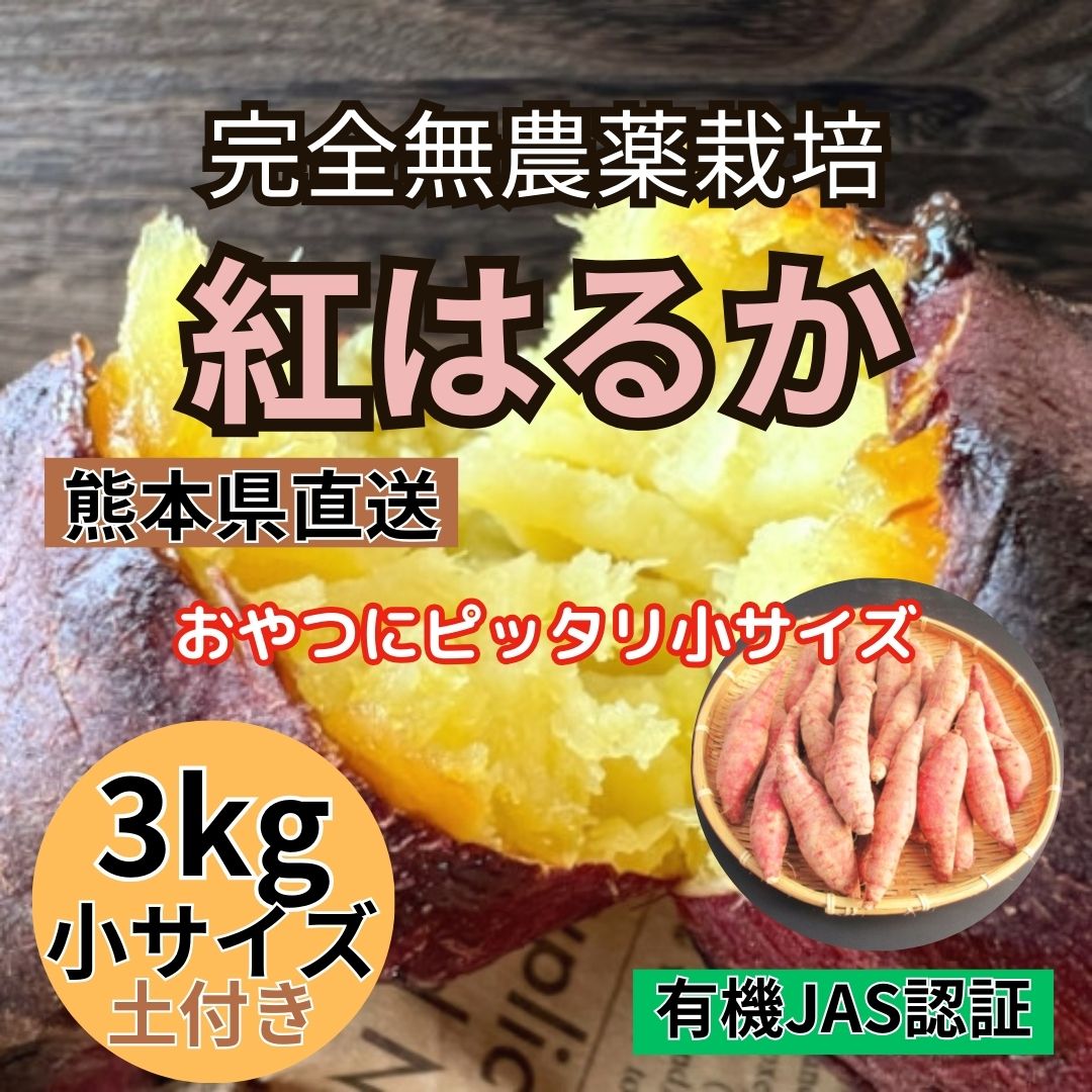 【紅はるか】ミニサイズ 3kg  完全無農薬栽培　熊本直送(有機JAS認証 / 土付き)サムネイル