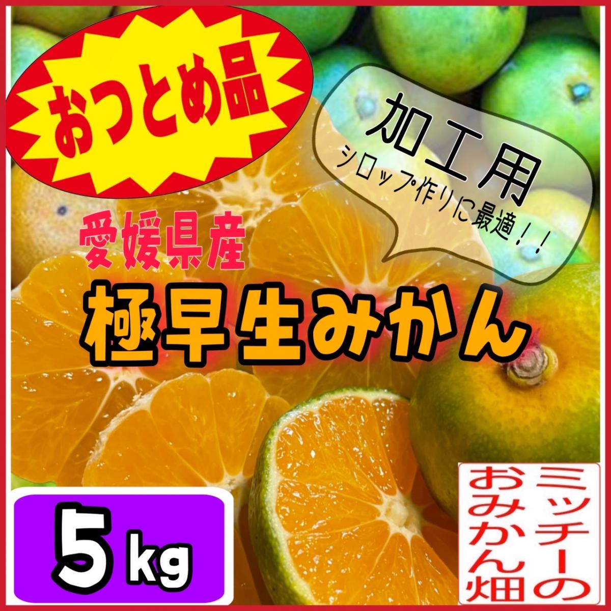 【四国 九州 本州のお客様用】極早生 温州みかん【おつとめ品】《えひめ県産》サムネイル