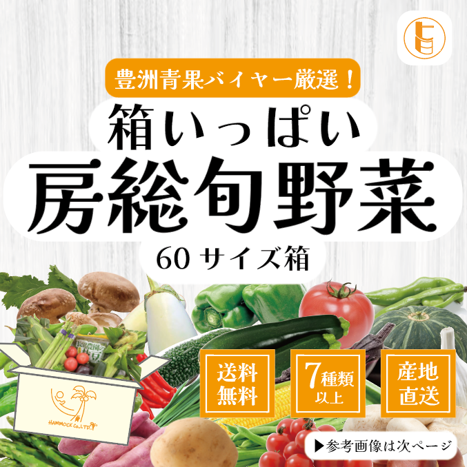 【60サイズ箱いっぱい】新鮮房総野菜詰め合わせセット　産地直送　産直　房総直売所販売野菜をご家庭で。