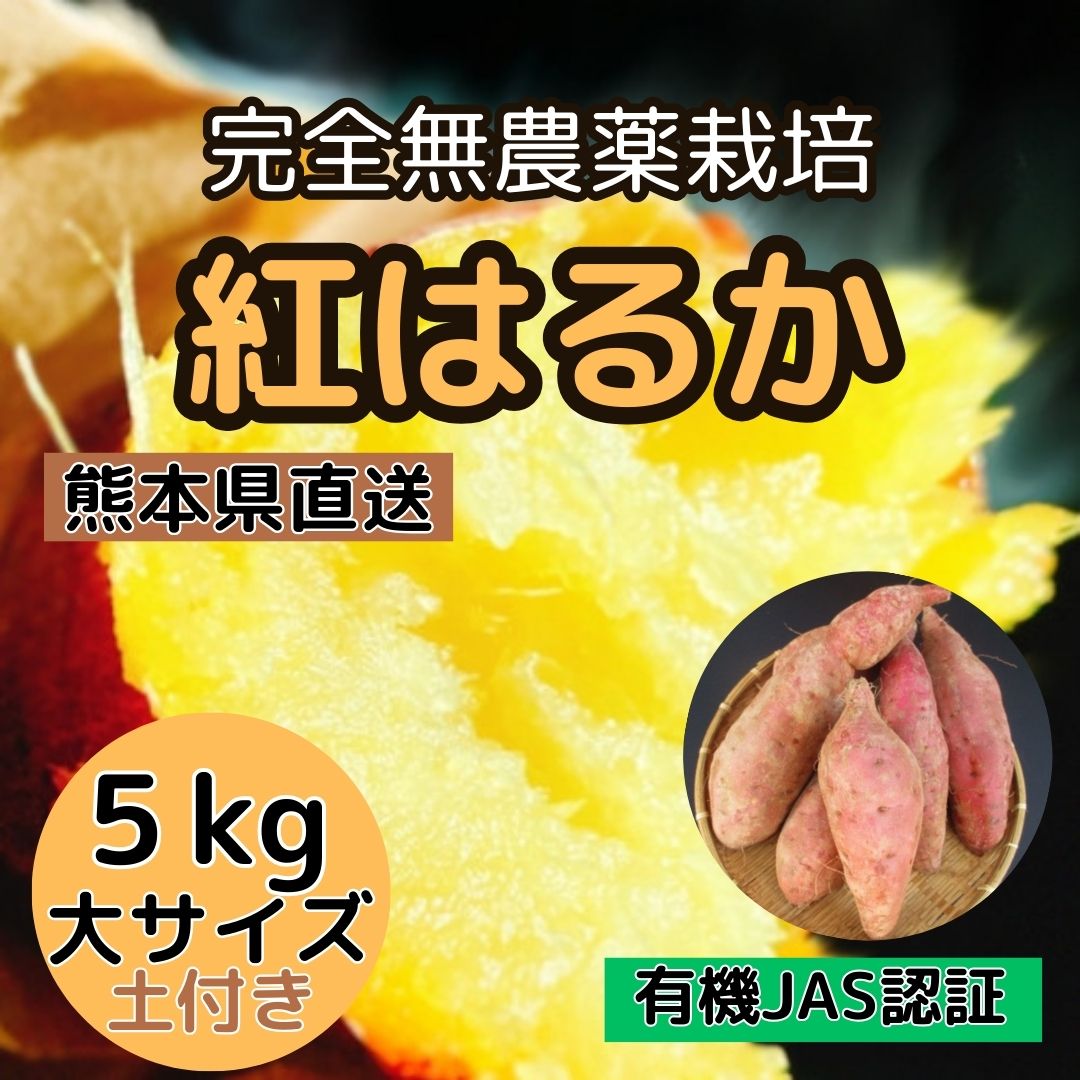 完全無農薬栽培【紅はるか】5kg 大サイズ 熊本直送(有機JAS認証 / 土付き)