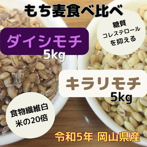 岡山県産 令和5年 もち麦2種セット【ダイシモチ5㎏&キラリモチ5㎏】