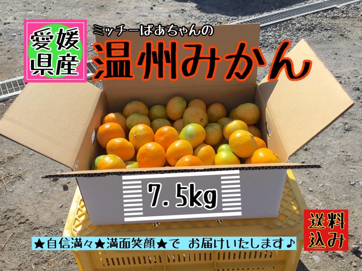 【北海道&沖縄のお客様用】《訳あり》フルーツ果物くだもの果実みかん柑橘《温州みかん/えひめ産》サムネイル