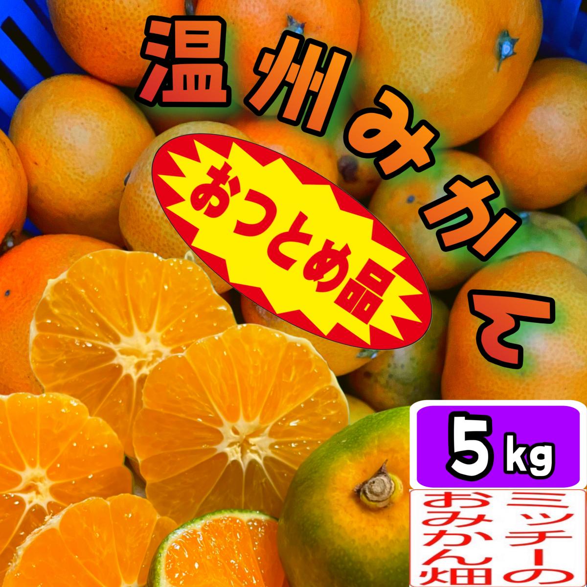 【四国 九州 本州のお客様用】【おつとめ品】《温州みかん/えひめ産》【おつとめ品】サムネイル