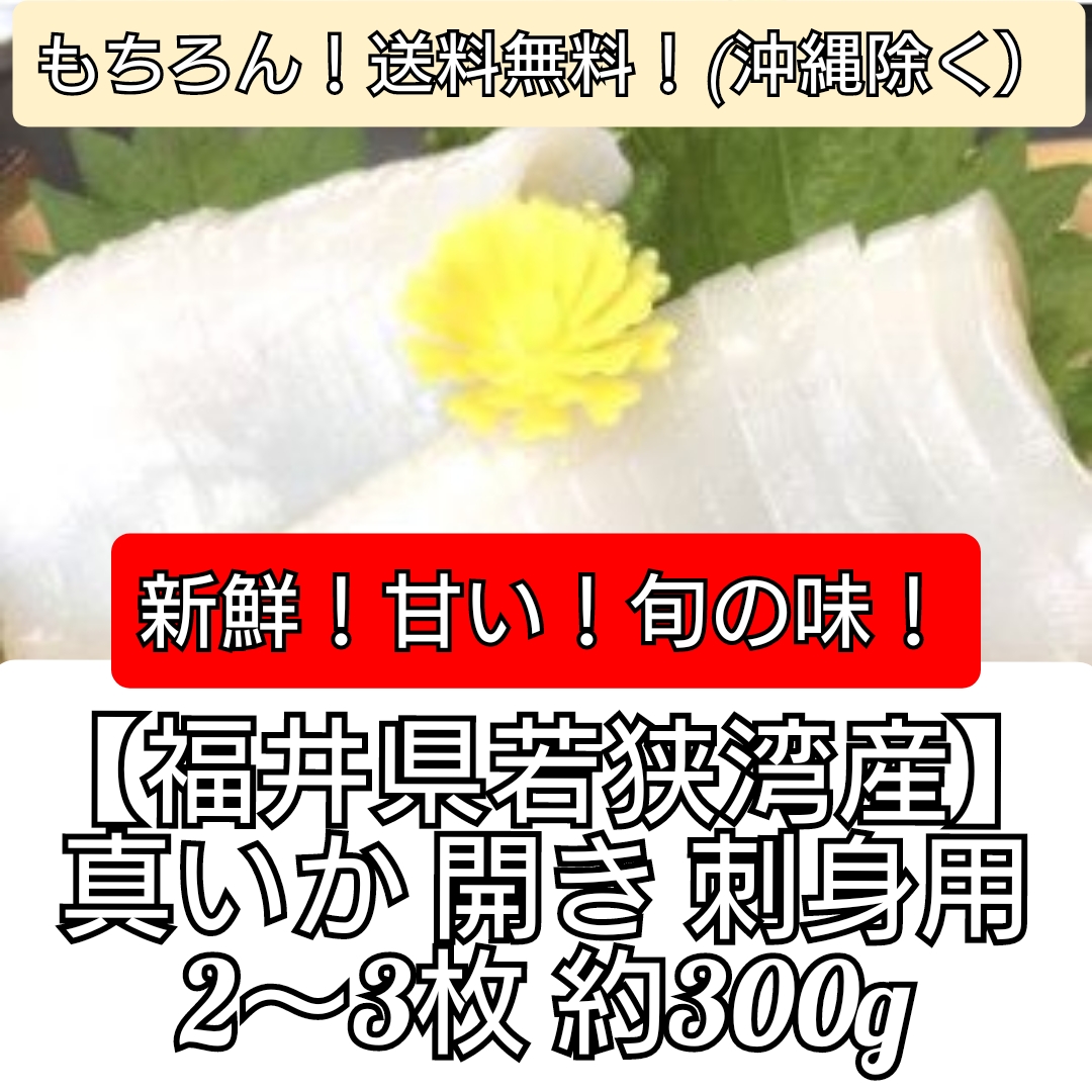 【福井県若狭湾産】真いか/開き(刺身用)生冷凍　約300g(2～3枚)サムネイル