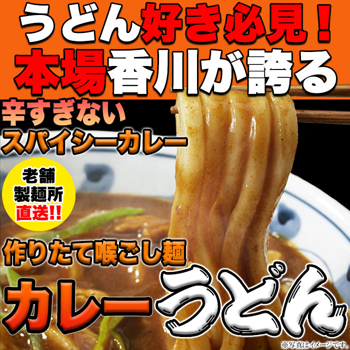 【ゆうパケット出荷】レンジで簡単!辛すぎないスパイシーなカレーうどん4食(180g×4)サムネイル