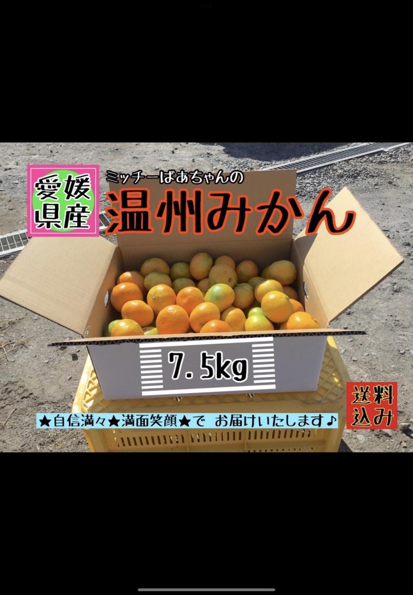 【四国 九州 本州のお客様用】フルーツ果物くだもの果実みかん柑橘《温州みかん/えひめ産》サムネイル