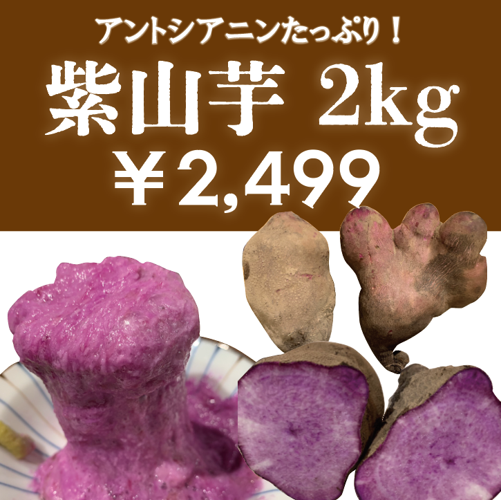 【紫山芋が獲れました!無農薬、化学肥料不使用!有機栽培!房総紫山芋をお試しください!】産地直送　産直サムネイル