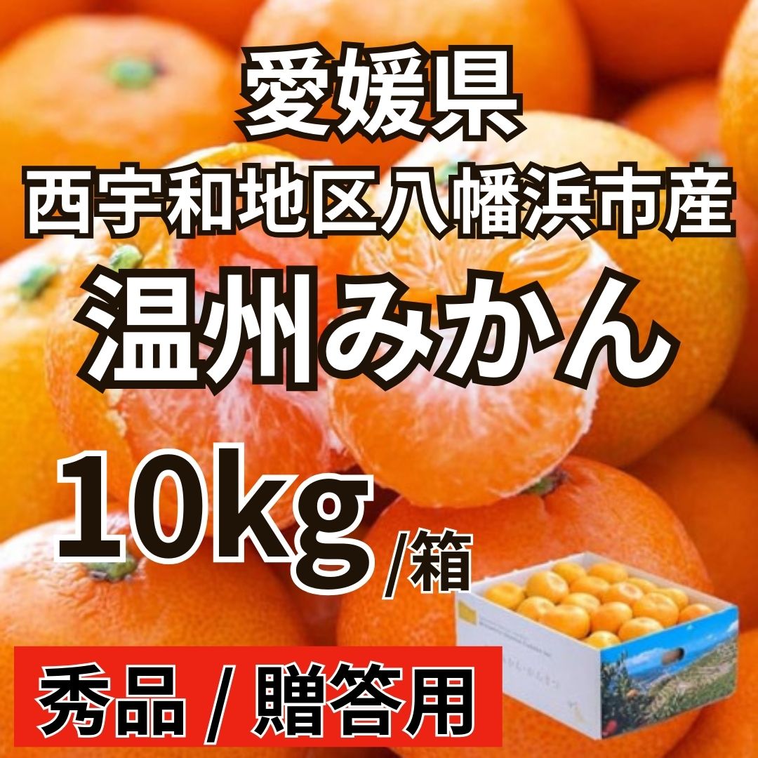 愛媛温州みかん 10kg【秀品/贈答用】西宇和地区八幡浜市産サムネイル