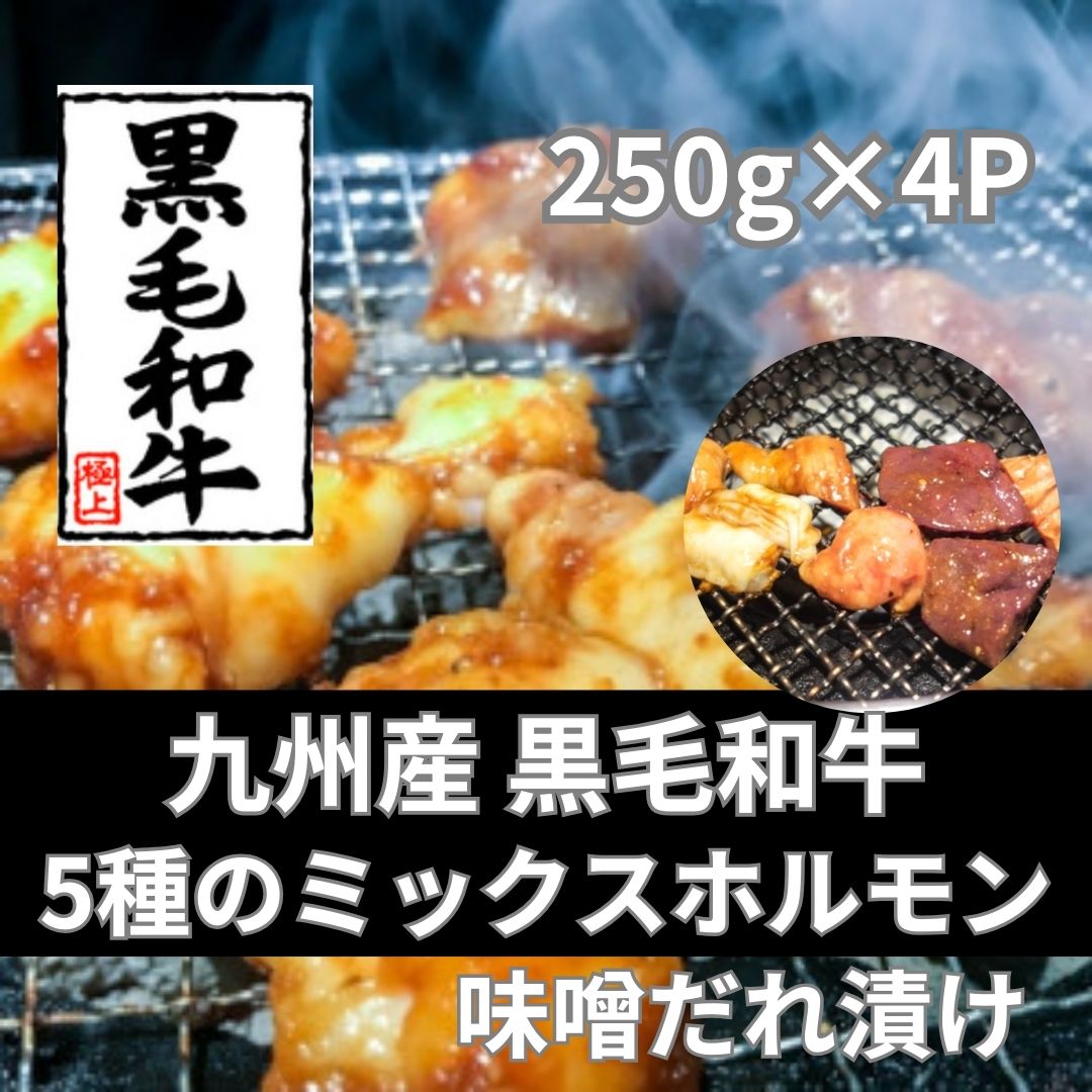 九州産 黒毛和牛 5種のミックスホルモン 味噌漬け 　1kg(250g×4パック)サムネイル