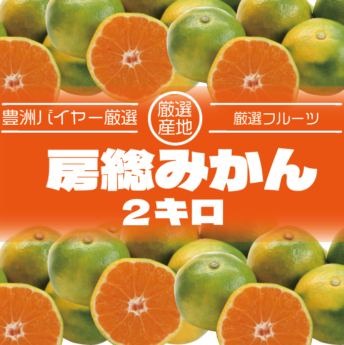 【房総みかん!出荷当日に収穫されたみかんを発送します!2㎏】産地直送　産直　千葉県産サムネイル