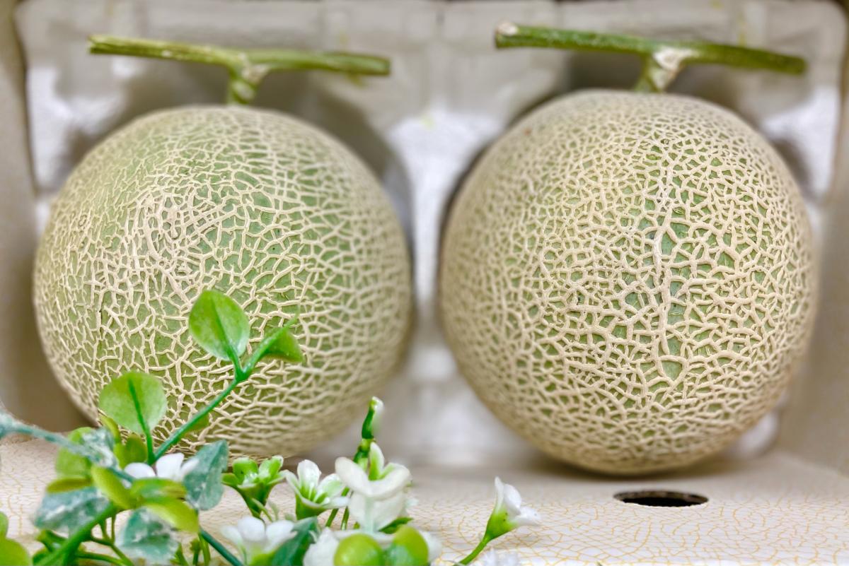【お得♡美味】✿アールスメロン4L× 2個セット✿ 長崎県産最高品種★☆
