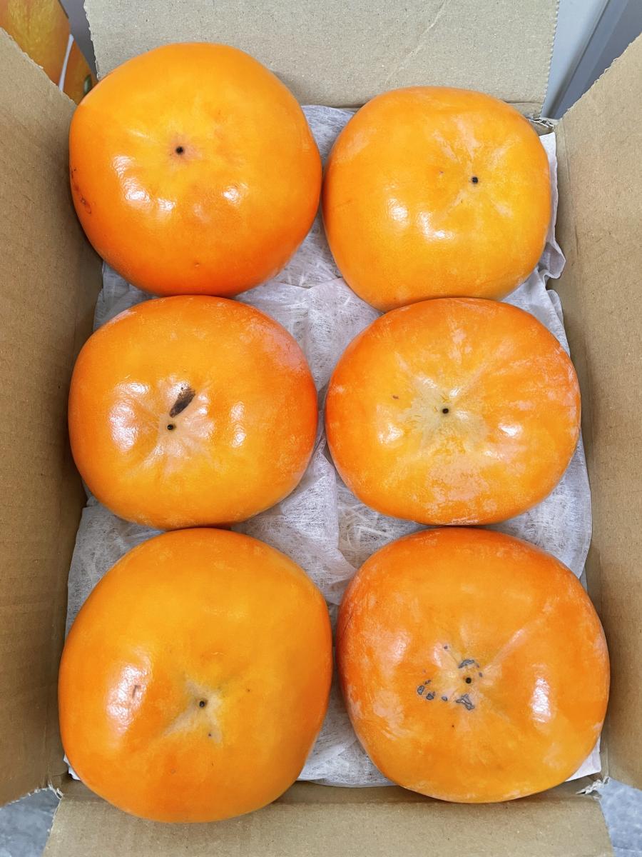 今期最後の柿『富有柿』3L 6玉 *和歌山県産✦今年最後の入荷分サムネイル