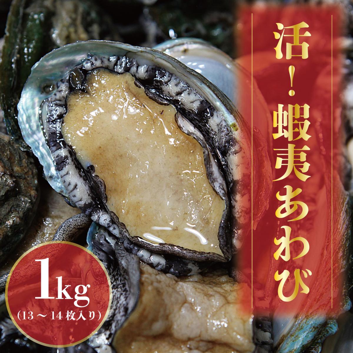 【極上鮮度!活!蝦夷あわび　1㎏(13～14枚)】お節　年末年始　お正月　アワビ　鮑サムネイル