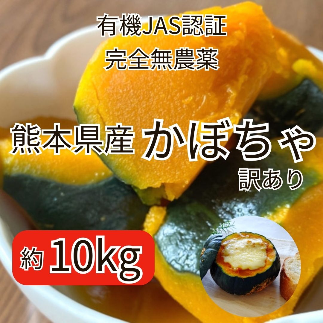 熊本県産　有機JAS認証【かぼちゃ】約10kg(5～8玉)完全無農薬/訳ありサムネイル