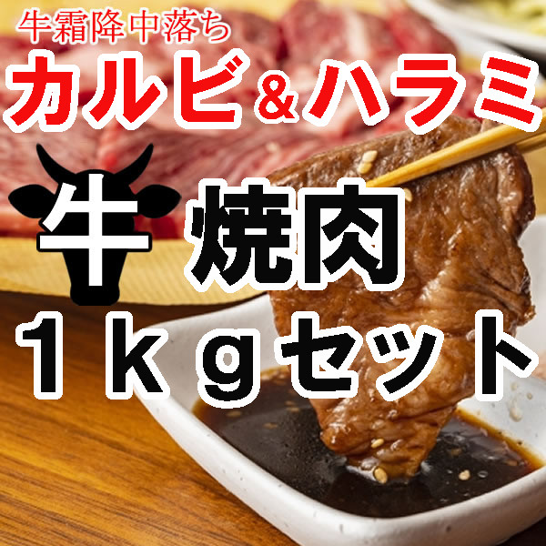 ≪12/22までさらにお買い得!≫【焼肉1kgセット】牛霜降中落ちカルビ500g&牛ハラミ500g