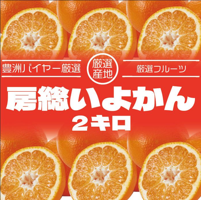 【数量限定!房総いよかん　お試し2㎏　産地直送　産直】千葉県産　房総エリア収穫サムネイル